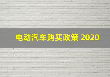 电动汽车购买政策 2020